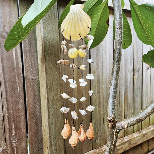 Scallop Shell Wind Chime