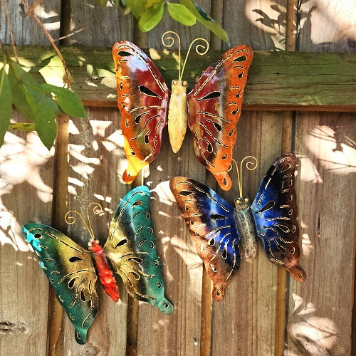 Butterfly pack of 3