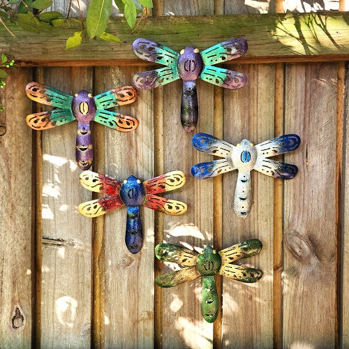 Dragonfly pack of 5