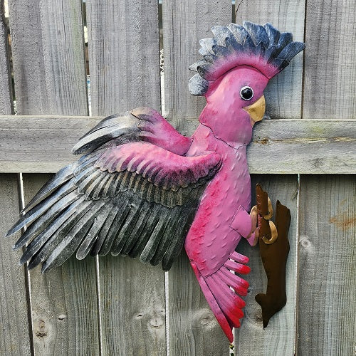 Galah in Flight