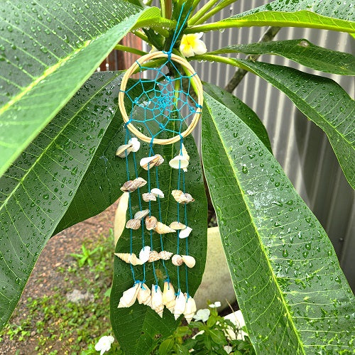 Shell Rattan Dreamcatcher