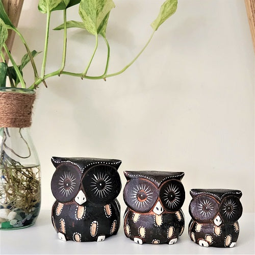 Owls Chomp Pattern