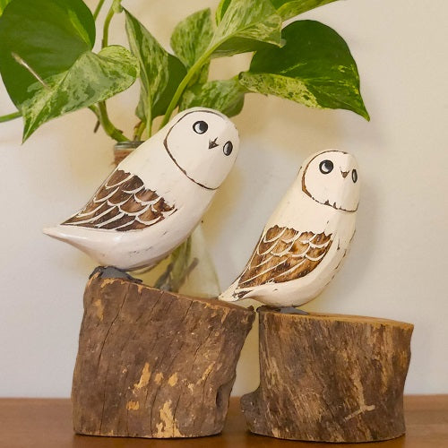 Owls On Logs