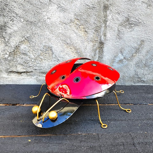 Ladybird Mozzie Coil Holder