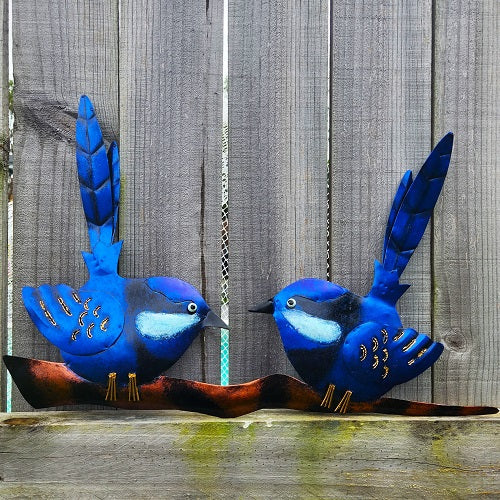 Blue Wren Wall Art