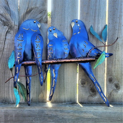 Trio of Budgies